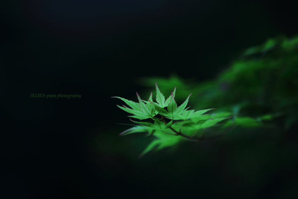 ☆Silent time