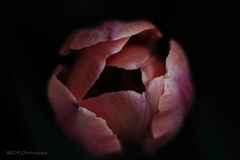 ☆Resentment