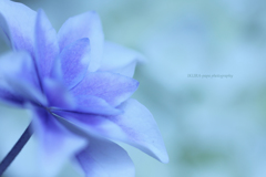 ☆Silent blue