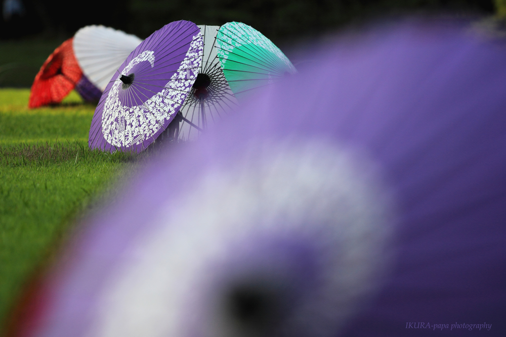 ☆Japanese umbrella