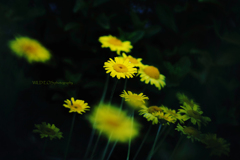 ☆Assertion