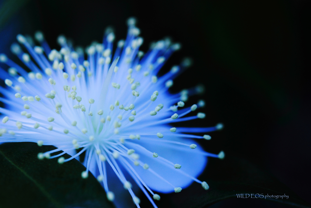 ☆Explosion