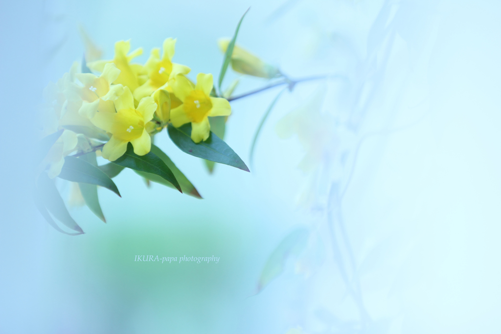 ☆白いページの中に