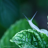 ☆Rainy Morning