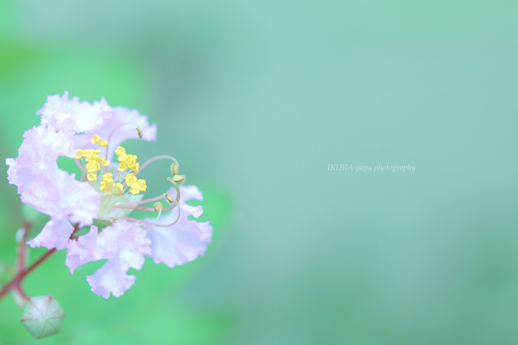 ☆Missing you♪