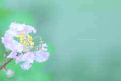 ☆Missing you♪