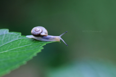 ☆時を止めて♪