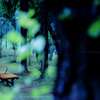 ☆Afternoon bench