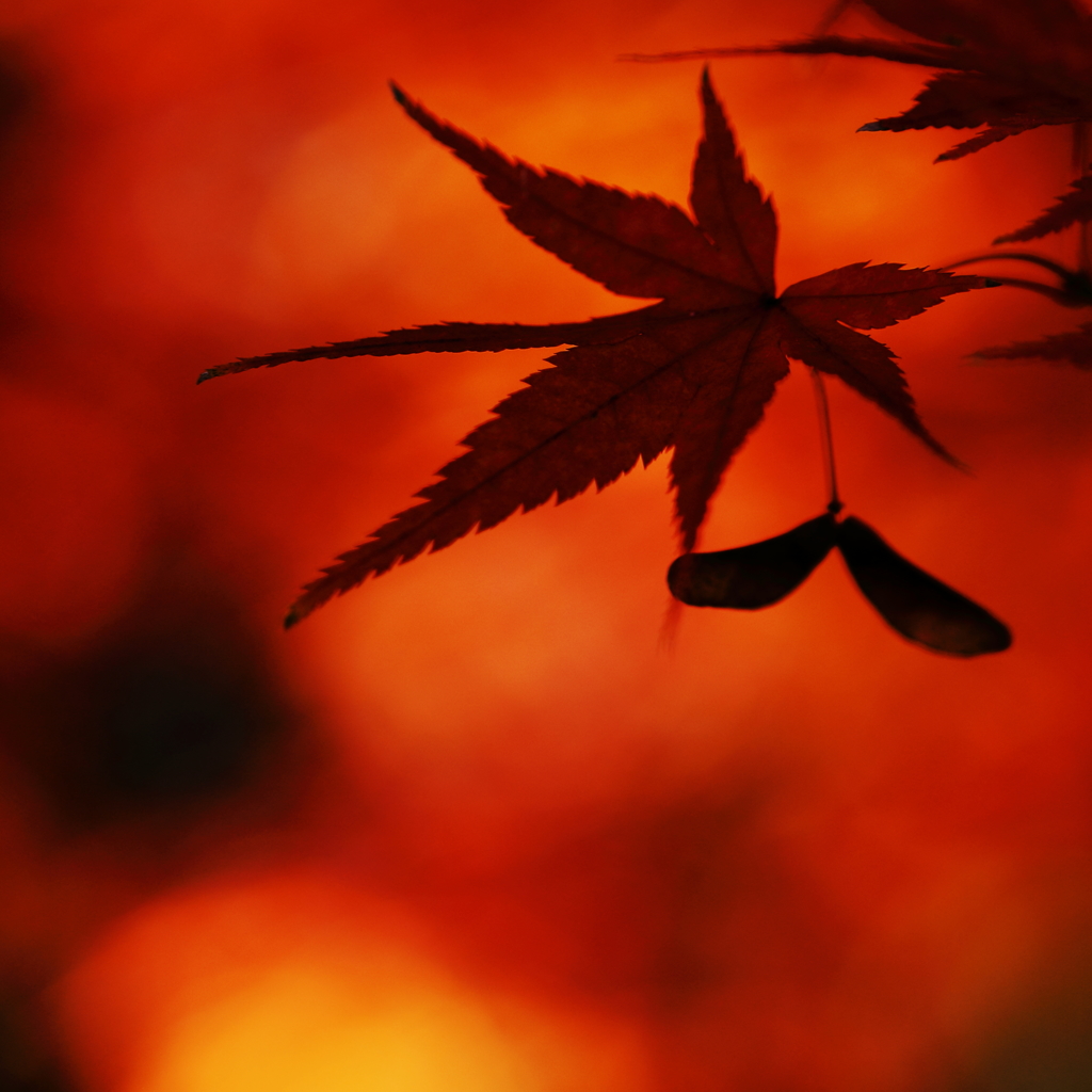 ☆シークレットラブ