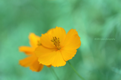 ☆Autumn Flavor