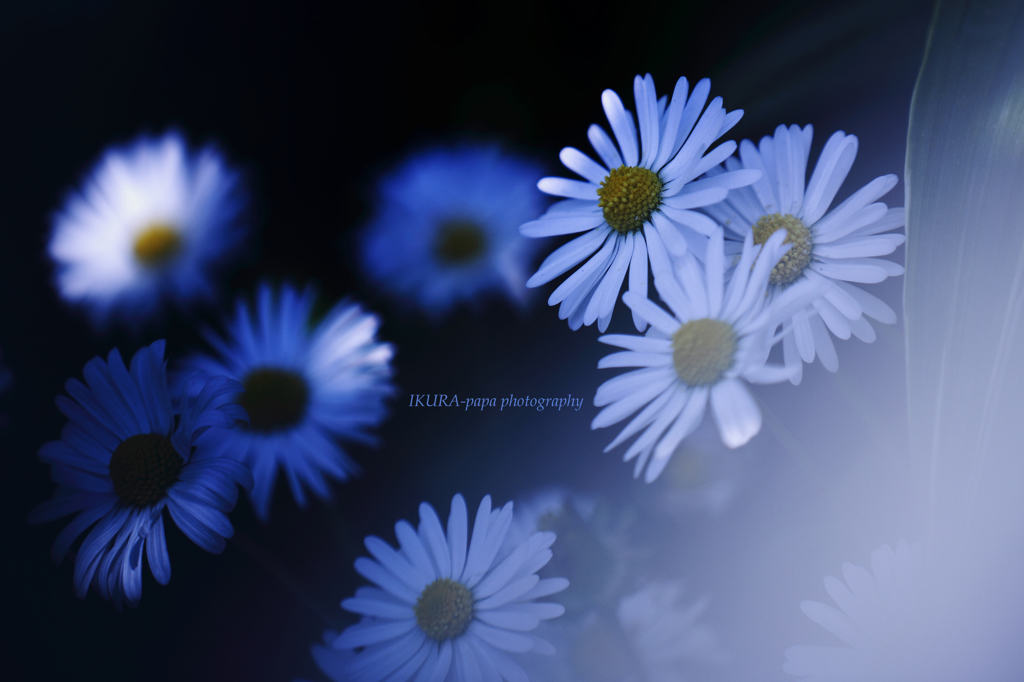 ☆Blue Note