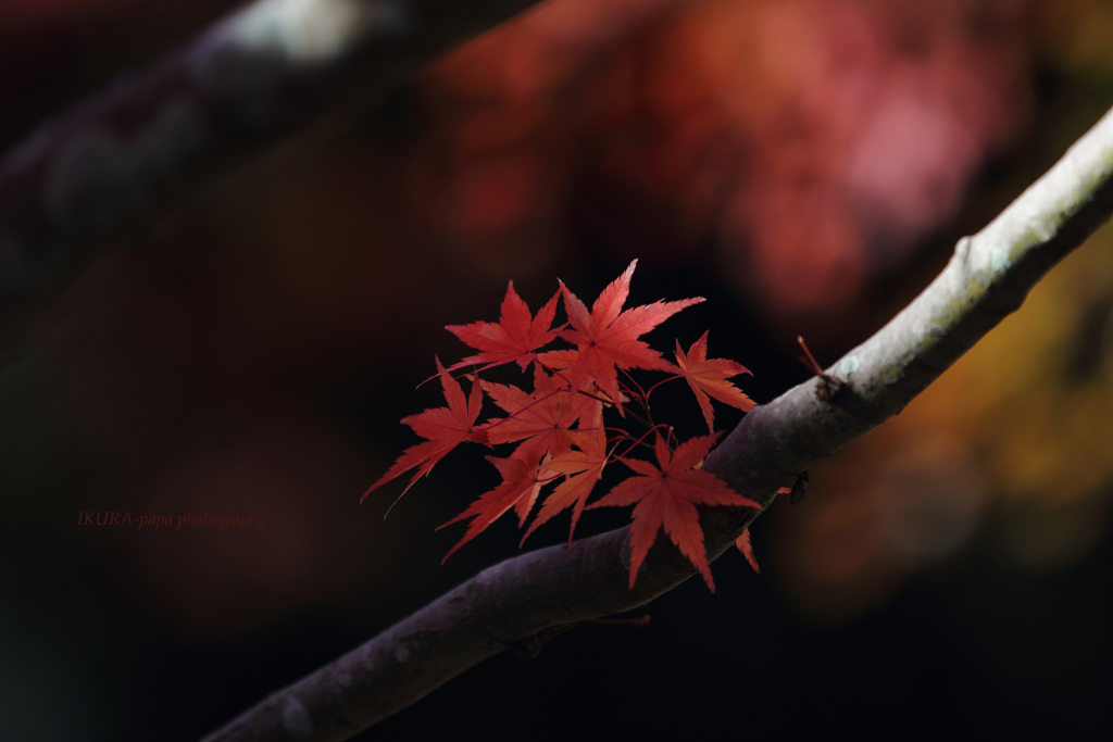 ☆Beauty of silence♪