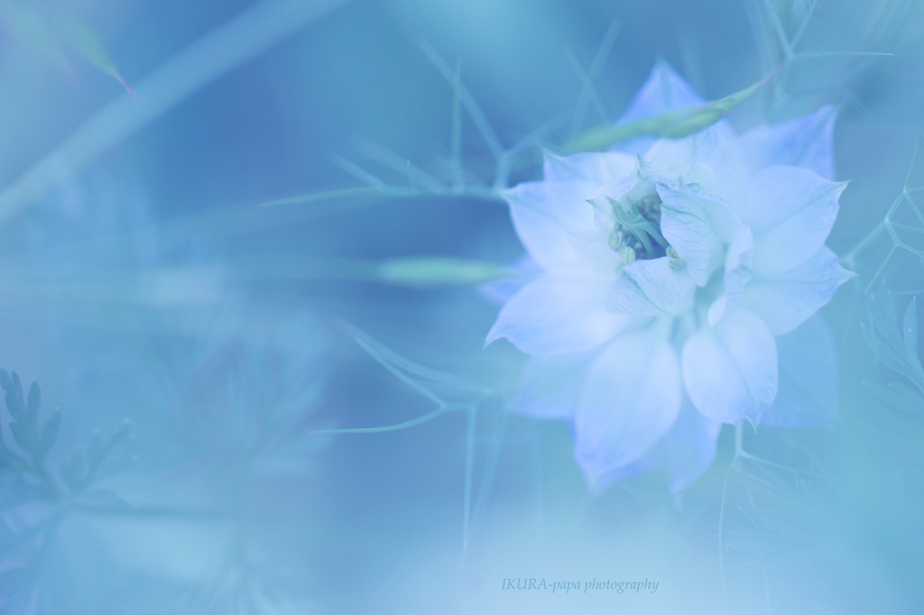 ☆Ice-Blueの彼方へ