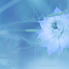 ☆Ice-Blueの彼方へ