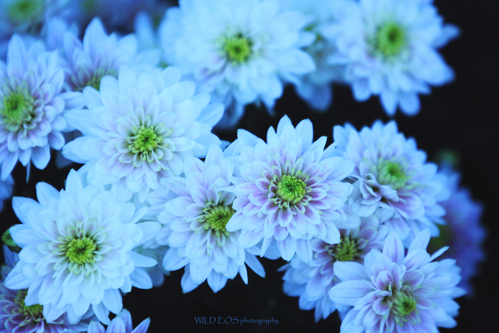 ☆ジェラシーな予感♡