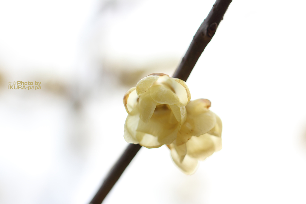 ☆Changeing Seasons