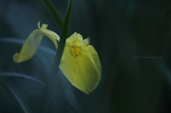 ☆Silent Morning