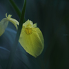 ☆Silent Morning