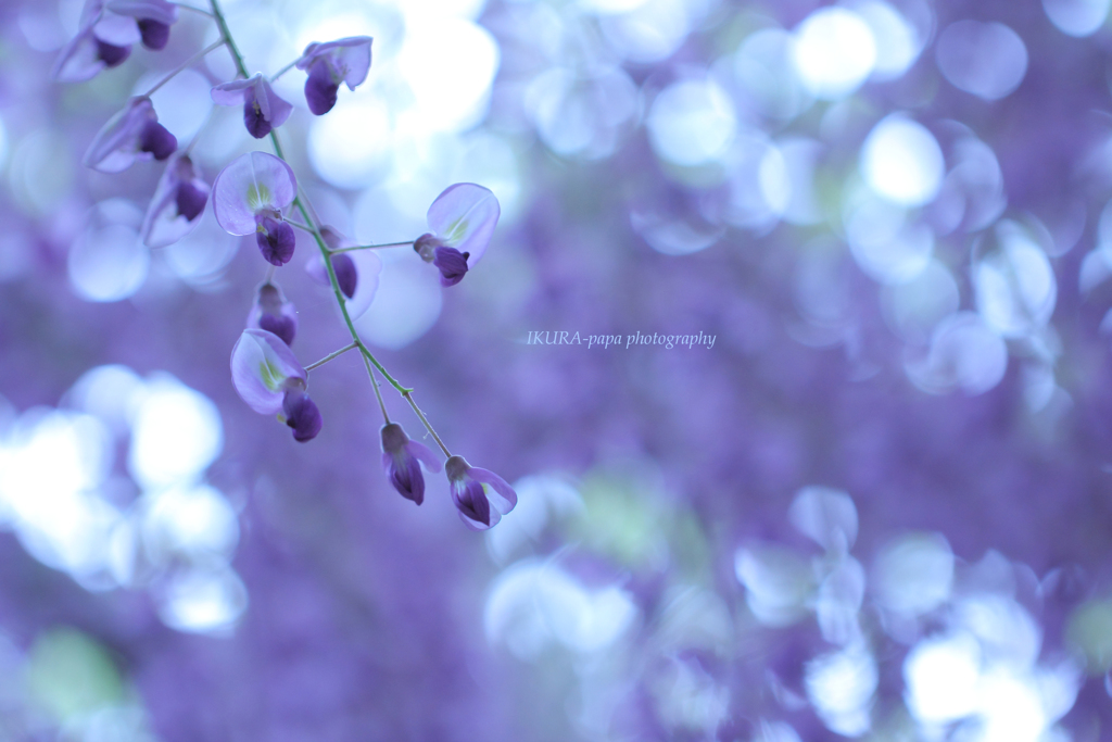☆Early summer feeling♪