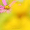 ☆Season of change♪