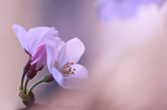 ☆Sorrow