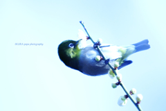 ☆Balancing