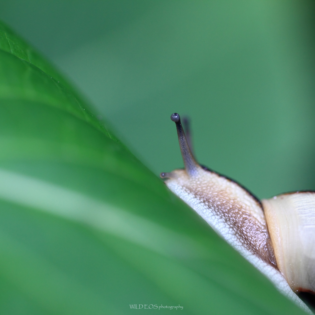 ☆わたしの季節♪