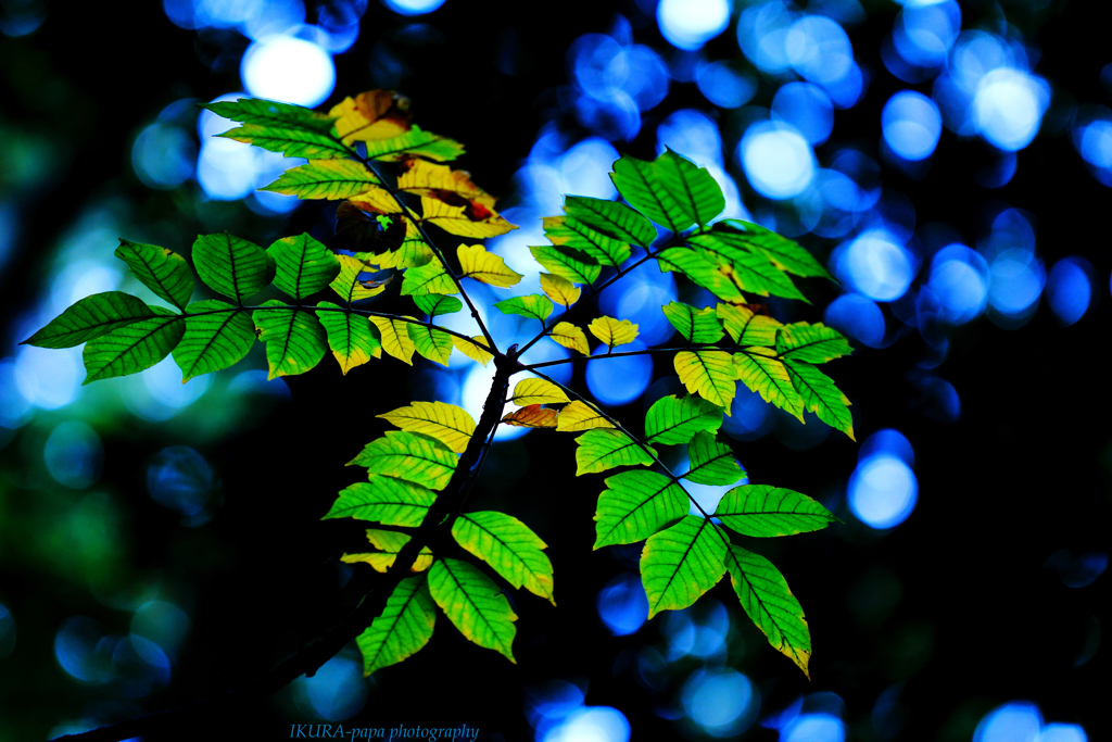 ☆Deteriorating beauty