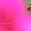 ☆Spring Meeting vol.1