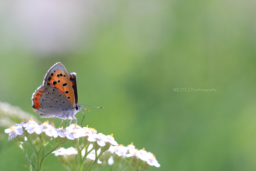 ☆会いたかった♡