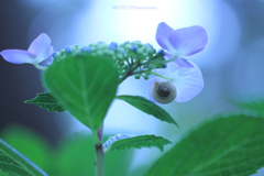 ☆Relaxation♪