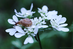 ☆雨の出会い♪