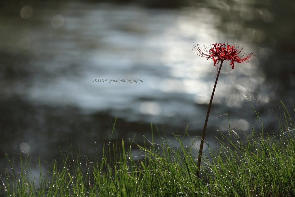 ☆Melancholy