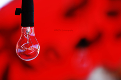 Light bulb