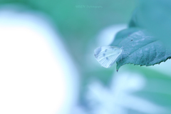 Silentなひと時