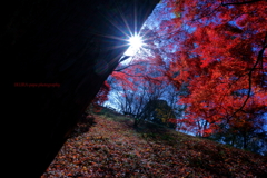 ☆ブライトな赤