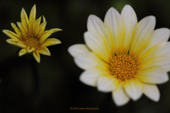☆Passage of Time