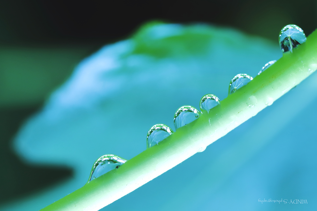 Water spirit