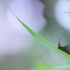 ☆上を向いて歩こう♪