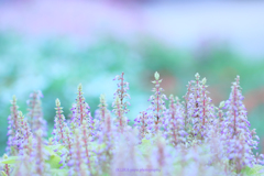 ☆Air Feeling