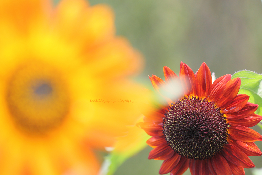 ☆ごめんなさい