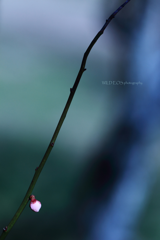 ☆Moderateな私♪