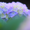 ☆Summer Bouquet