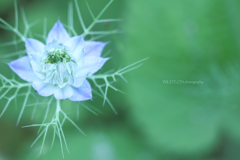 ☆Summer feeling♪