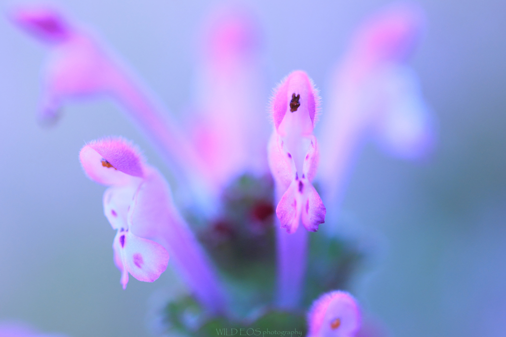 ☆初めましての春♪