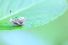 ☆あっそぼ～♪