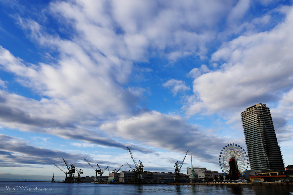 Harbor Morning