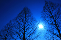 ☆Blue Shadow