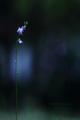 ☆Time of silence♪
