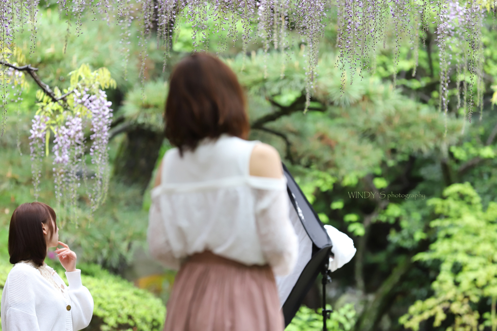 ☆Morning wisteria